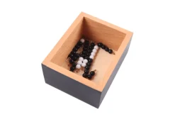 Addition Snake Game