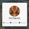 All My Relatives (Indinawemaaganidag) by Storm Angeconeb [Board book]