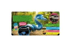 Amazing Snakes