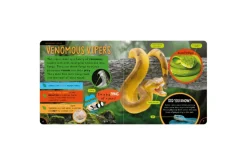 Amazing Snakes
