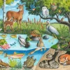 Animals Above and Below 60 Piece Puzzle (Ages 4+)
