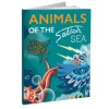 Animals of the Salish Sea by Melaney Gleeson-Lyall [Hardcover]