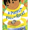 A Pocket Full of Rocks by Kristin Mahoney [Hardcover]