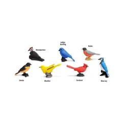 Backyard Birds Toob®