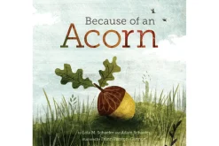 Because Of An Acorn by Lola M. Schaefer and Adam Schaefer [Hardcover]