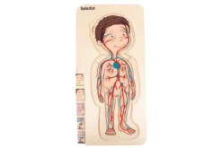 Beleduc Boy Layer Puzzle