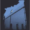 Blue Jay Kids T-Shirt
