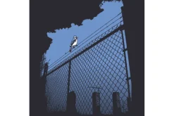 Blue Jay Kids T-Shirt
