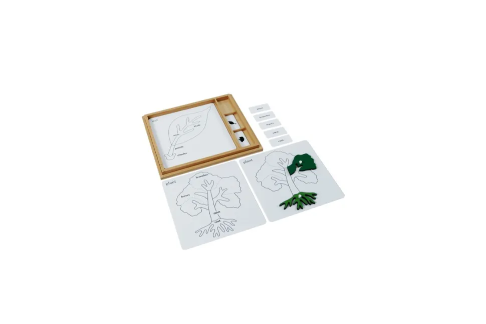 Botany Puzzle Activity Set (Control Cards & Name Cards)