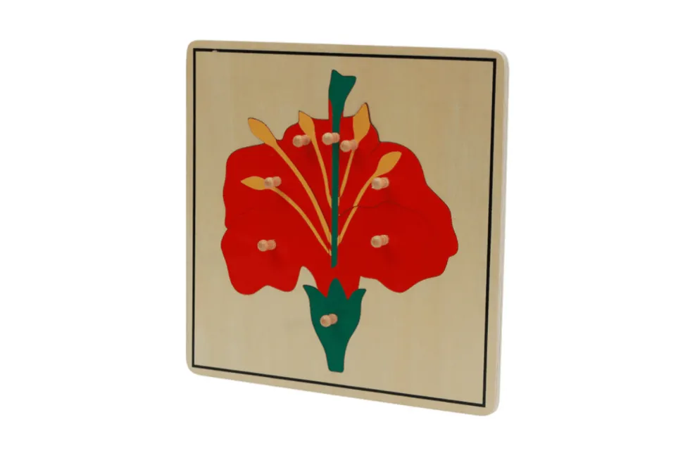 Botany Puzzle - Parts of a Flower
