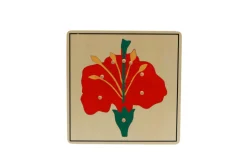 Botany Puzzle - Parts of a Flower