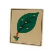 Botany Puzzle - Parts of a Leaf