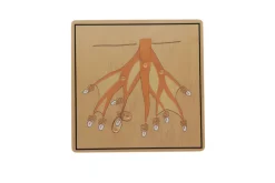 Botany Puzzle - Parts of a Root