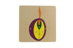 Botany Puzzle - Parts of a Seed