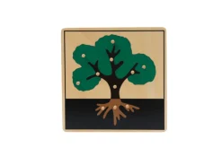 Botany Puzzle - Parts of a Tree