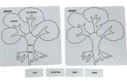 Botany Puzzle - Parts of a Tree