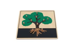 Botany Puzzle - Parts of a Tree