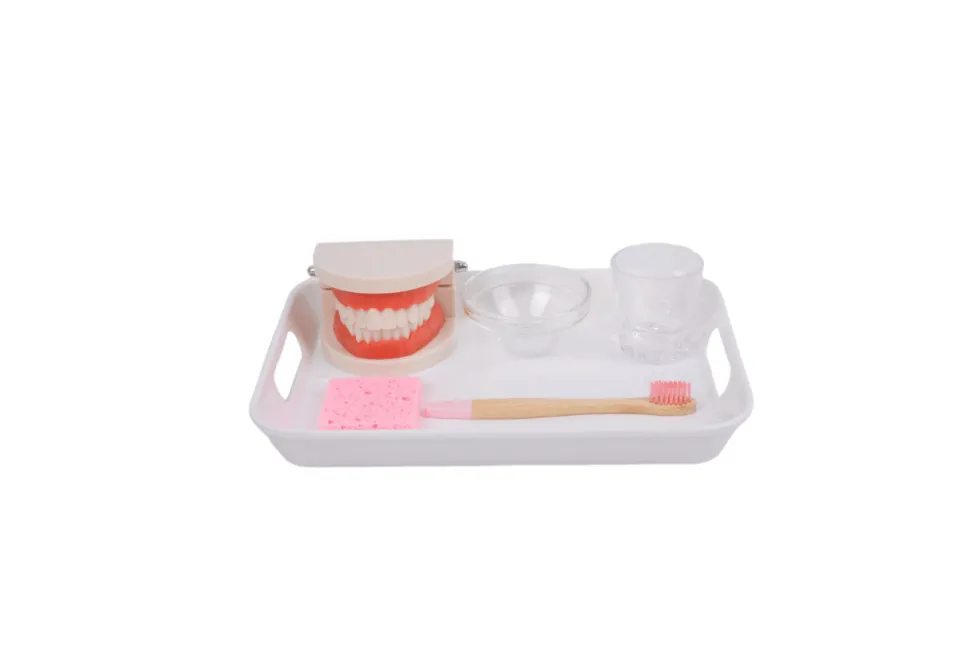 Brushing Teeth Activity Set