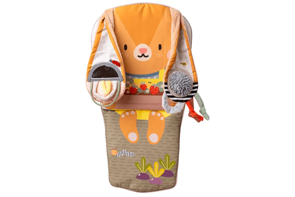 Bunny Play & Kick Car Toy