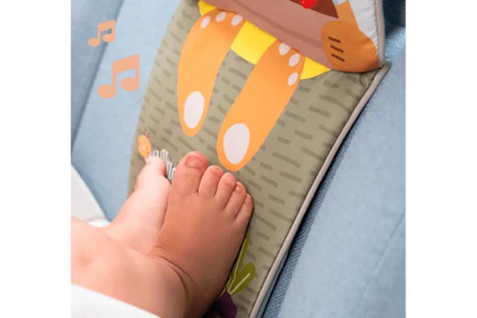 Bunny Play & Kick Car Toy