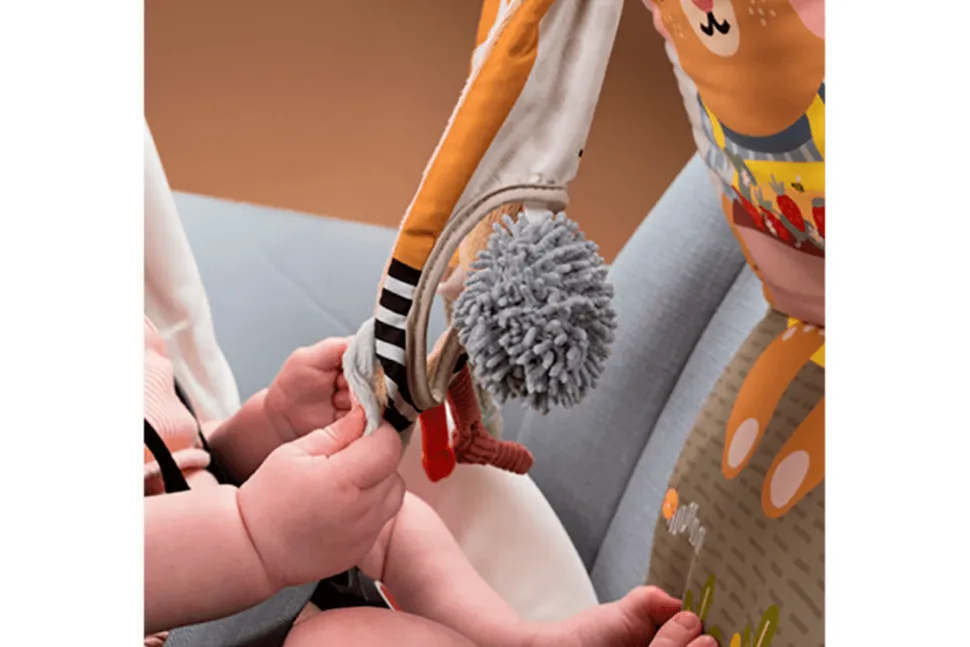 Bunny Play & Kick Car Toy