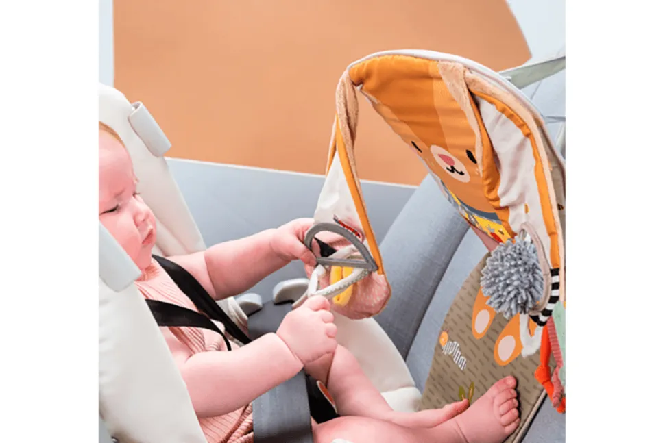 Bunny Play & Kick Car Toy