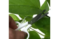 Children's Stainless Steel Scissors with Safety Cap