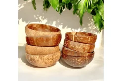 Coconut Bowl