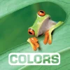 Colors by Marie Vendittelli
