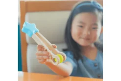 Count & Match Wooden Set