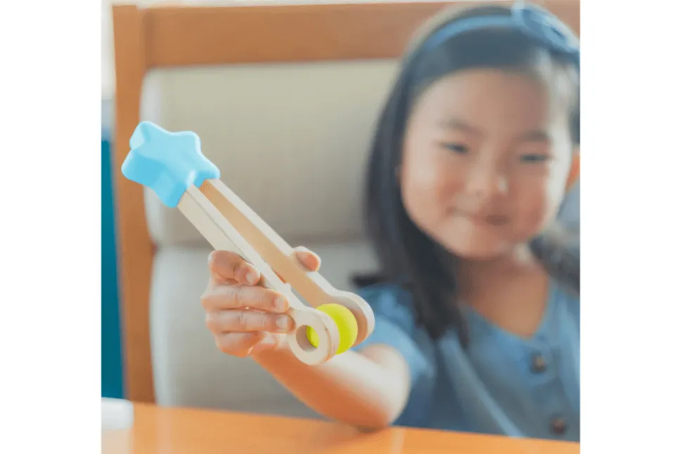 Count & Match Wooden Set