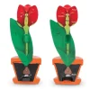 Cross-Section Flower Model
