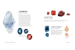 Crystals, Rocks, and Gemstones: Exploring Earth's Treasures [HARDCOVER]