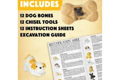 Dig It Up! Excavation Kits (Multiple Themes Available)