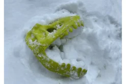 Dinosaur Sand and Snow Glove