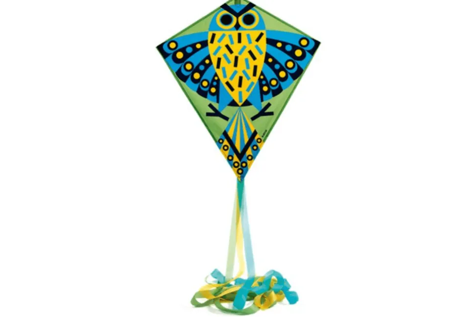 Djeco Kites