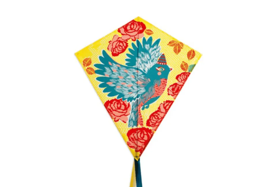 Djeco Kites