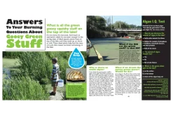 Do Fish Fart?: Answers to Kids' Questions About Lakes
