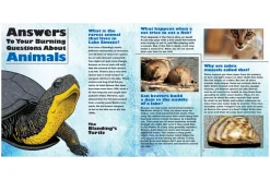 Do Fish Fart?: Answers to Kids' Questions About Lakes