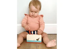 Early Bird Pop Up Toy