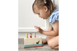 Early Bird Pop Up Toy