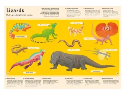 Encyclopedia of Animals for Young Readers