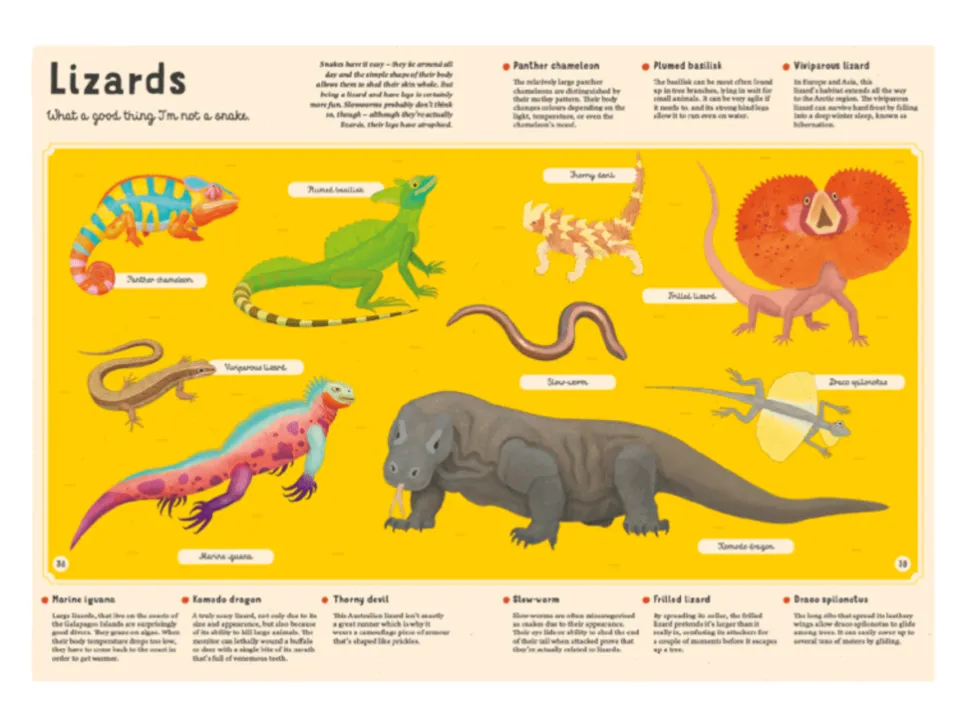 Encyclopedia of Animals for Young Readers
