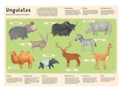 Encyclopedia of Animals for Young Readers