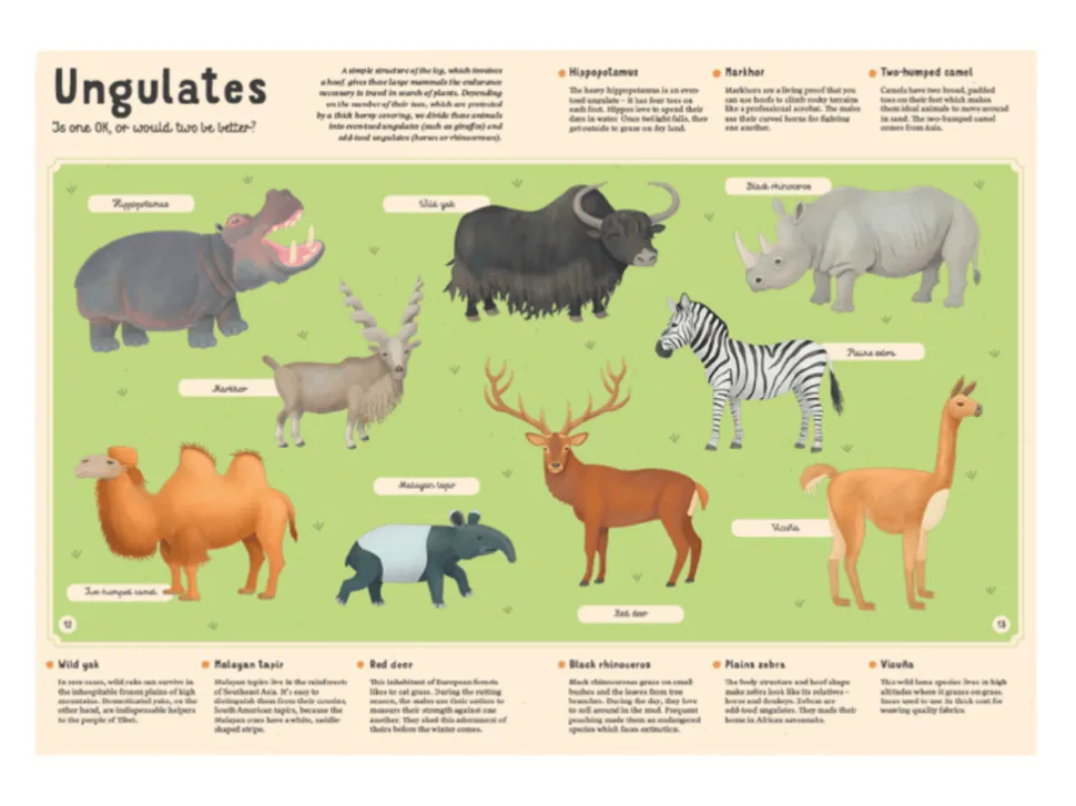 Encyclopedia of Animals for Young Readers