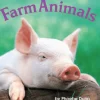 Farm Animals Mini Book