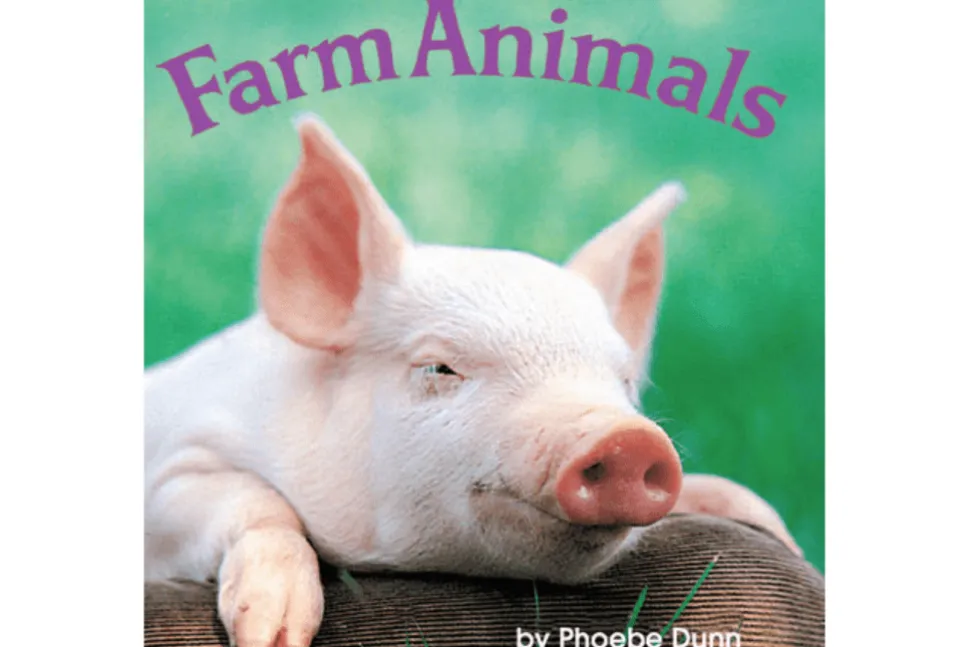 Farm Animals Mini Book