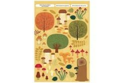 Find Me! Adventures: Look and Find Activity Books