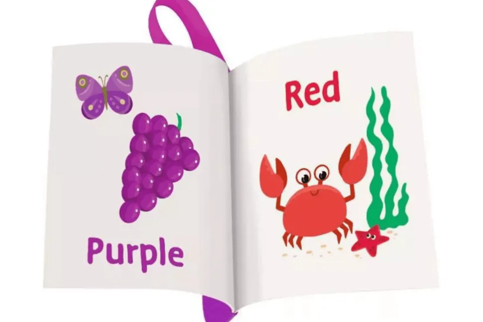 Flip & Pop Colours Book