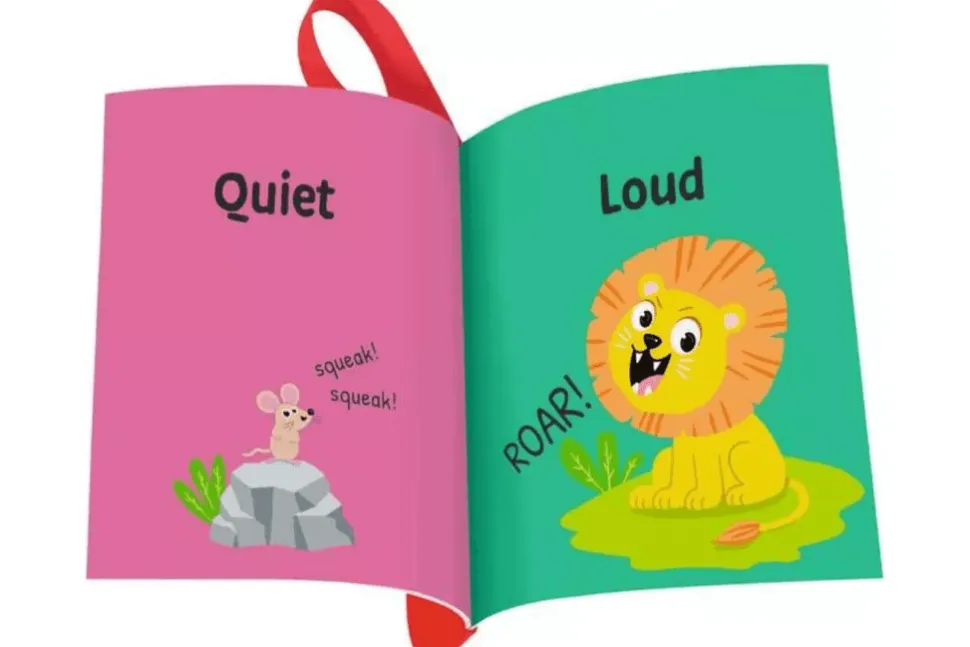 Flip & Pop Opposites Book